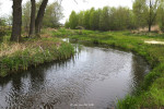 Markgraven